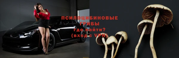 МДПВ Михайловка