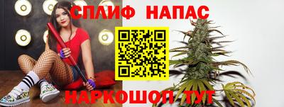 шишки Апшеронск