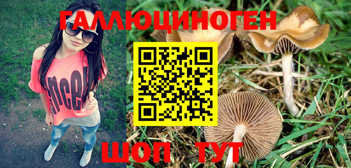 Псилоцибиновые грибы ЛСД Белорецк